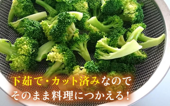 ブロッコリー 500g 冷凍 旬の時期に急速冷凍 【福岡県糸島産】 糸島市 / オーガニックナガミツファーム 野菜 	[AGE043]