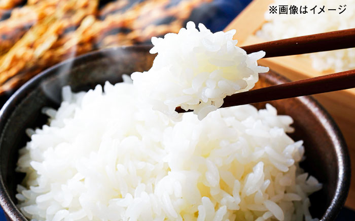 【令和7年産】 にこまる 玄米品質1等米 白米 5kg 糸島市産 糸島市 / 糸島の恵み コメ こめ ご飯 [AGR001]