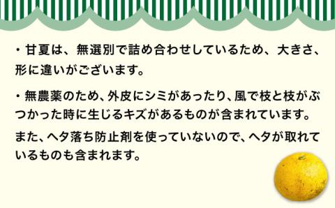 【先行予約】【有機栽培】甘夏 10kg【2025年5月中旬ごろ順次発送】糸島市 / わかまつ農園 [AHB016]