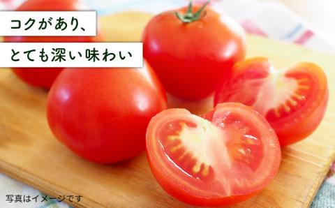 【先行受付】【全6回定期便】糸島産 絶品トマト かれん (4kg28玉前後) 【2025年12月上旬以降順次発送】糸島市 / シーブ 野菜 とまと 大玉トマト [AHC067]