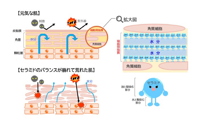 【年内発送】ブースターローション [AHJ003]