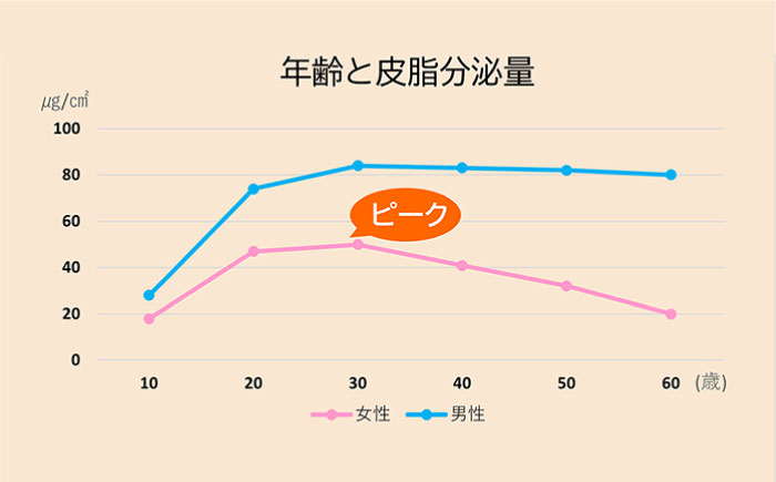 【全12回定期便】オールインワンオイルインセラム [AHJ010]