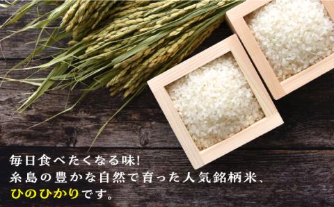 【全3回定期便】糸島産 ひのひかり 5kg × 3回  糸島市 / 三島商店  米 お米 ご飯 白米 ヒノヒカリ ひのひかり 九州 福岡[AIM008] 白米米 白米お米 白米ご飯 白米ヒノヒカリ 白米ひのひかり 白米九州 白米福岡 白米5キロ 白米定期便