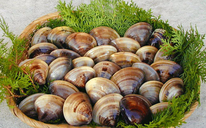 糸島産 天然 はまぐり 10個 （2個×5P）  糸島市 / ひろちゃんカキ 蛤 ハマグリ [AJA017]