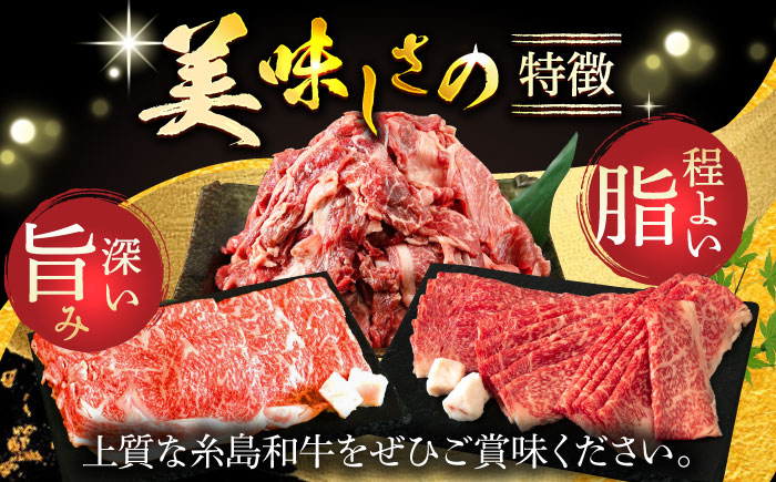 月限定10個の希少和牛！糸島和牛こまぎれ1kg トラヤミートセンター [AJD003]