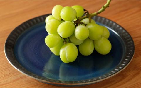 瑠璃7寸皿≪糸島市≫【Q-CERA】瑠璃色/青/お皿 【いとしまごころ】[AJZ003]