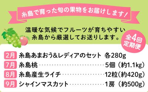 【全4回】糸島厳選くだもの定期便 約2人前 フルーツ 果物 糸島市 / やますえ あまおう シャインマスカット 桃 ライチ [AKA071]