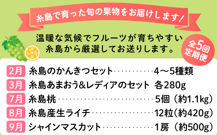 【全5回】糸島厳選くだもの定期便 約2人前 フルーツ 果物 糸島市 / やますえ あまおう シャインマスカット 桃 ライチ [AKA072]