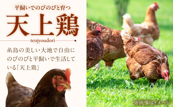 キミとプリン カフェオレ ◆ 6個 セット ◆ 《糸島市》 【株式会社おおはまファーム】 [AKH014]