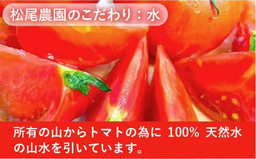 樹上でポーッと熟れた 甘～い トマト 2kg 《糸島》 【松尾農園】 [AKI001]