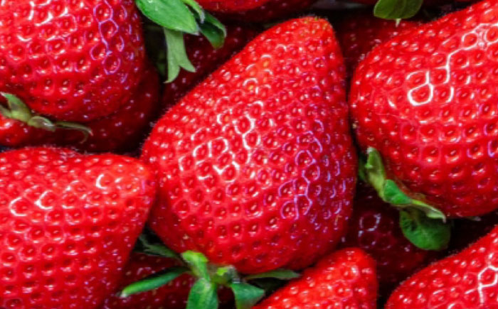 【先行予約】福岡県 糸島市産 完熟 あまおう いちご （約270g×2パック） 【2026年4月以降順次発送】 糸島市 / mhshops / 苺 イチゴ [AKQ001]