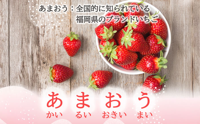 福岡県産あまおうパウダー 100ｇ いちご 粉末 製菓 糸島市 / 株式会社フルコンス [ALO002]