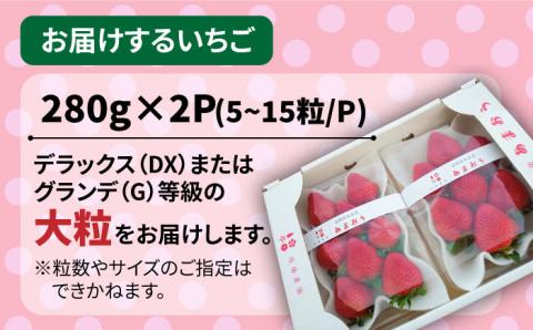 【先行予約】【農家直送！】糸島産 春 あまおう 280g × 2パック (DXまたはGサイズ) 【2026年2月上旬以降順次発送】糸島市 / 後藤農園 [AML004] いちご 福岡