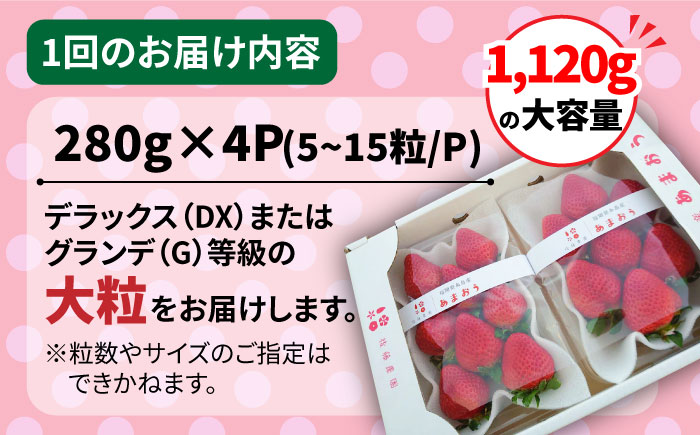【全2回定期便】【農家直送！】糸島産 春 あまおう 280g × 4パック (DXまたはGサイズ) 糸島市 / 後藤農園 いちご [AML006]