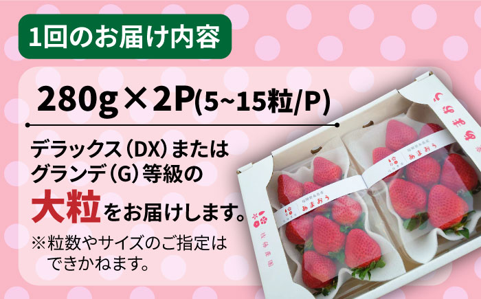 【全2回定期便】【農家直送！】糸島産 春 あまおう 280g × 2パック (DXまたはGサイズ) 【先行予約受付中・2024年2月上旬より順次発送】糸島市 / 後藤農園 いちご [AML008]