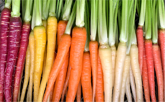 糸島産 季節 の 野菜 詰め合わせ （ おまかせ 10品 以上 ）《糸島》【ひめしま渡船直売所】 [ANJ001]