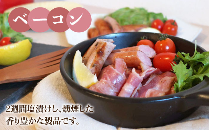 【 全6回 定期便 】 糸島 の 陽光 ハム / ウインナー セット 4《糸島》 【志摩スモークハウス】 [AOA018]