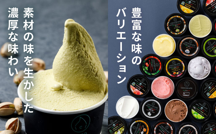 糸島 フルーツ 生ジェラート 9個セット 糸島市 / COCO GELATO [AON001]