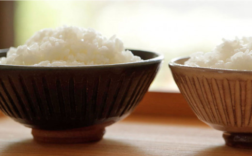 黒 マット 釉 しのぎ 飯碗 《糸島》【高麗窯】【いとしまごころ】 [AOZ005]