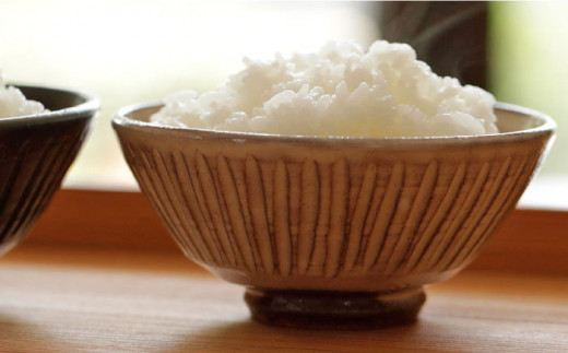 粉引 しのぎ 飯碗 《糸島》【高麗窯】 【いとしまごころ】[AOZ006]