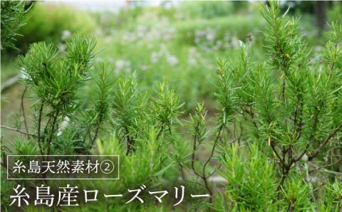 糸島オールインワンジェル いとうるる2本セット ≪糸島市≫【フレンチコネクション】 [APC003]