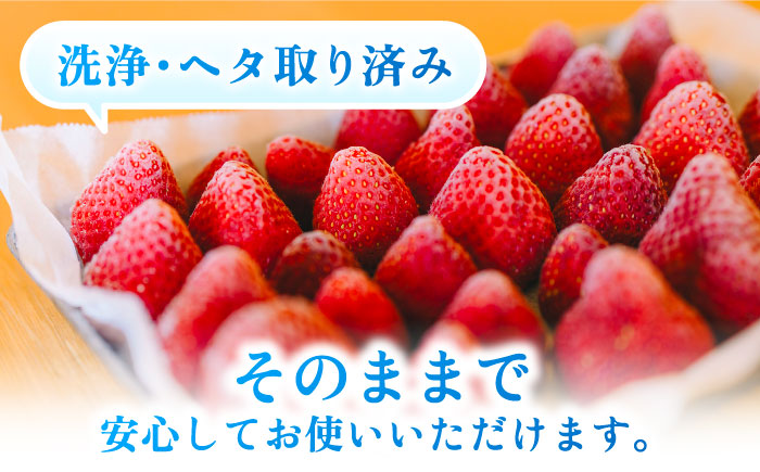【先行受付】完熟冷凍あまおう 1kg【2026年3月中旬より順次発送】糸島市 / slowberry strawberry [APJ006] あまおう いちご 果物
