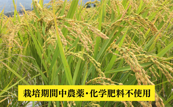 【令和7年産】伊都の米 （ ヒノヒカリ ） 2kg 糸島市 / 伊都福祉サービス協会 [APL001] 米 白米 玄米