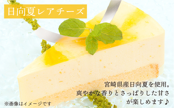 冷凍ケーキ レアチーズケーキ 2種 12個（あまおう / 日向夏） 糸島市 / 五洋食品産業 [AQD008]