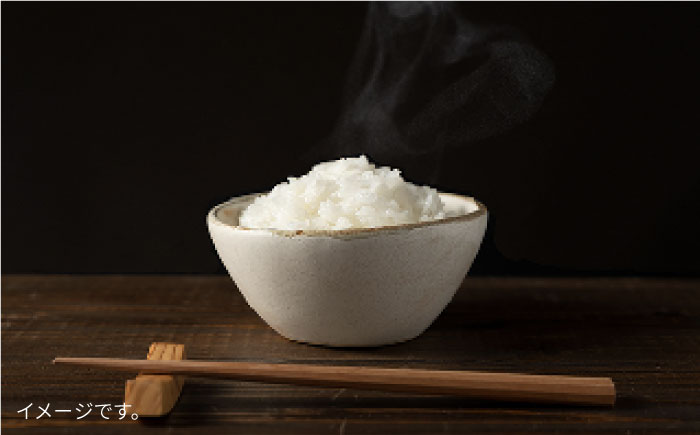 【令和7年産新米】【全3回定期便】とくべつの中のとくべつ 糸島 特別栽培米 5kg （ コシヒカリ ）《糸島》【itoshimacco / 株式会社やました】 [ARJ025]