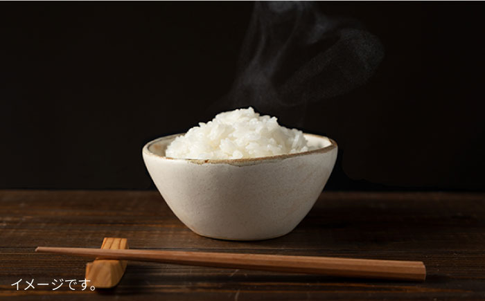 【全12回定期便】とくべつの中のとくべつ 糸島 特別栽培米 5kg （ コシヒカリ ）《糸島》【itoshimacco / 株式会社やました】 [ARJ026]