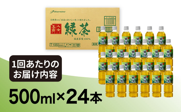 全3回定期便】八女 玉露入り 緑茶 500ml × 24本 糸島市 / スターナイン お茶 ペットボトル [ARM015] ソフトドリンク おちゃ  まとめ買い 箱買い: 糸島市ANAのふるさと納税