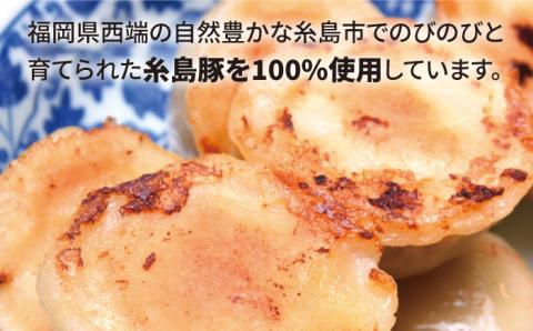 【年内発送】肉汁溢れる！！元祖・糸島豚籠包 食工房たまひろ [ASA003]