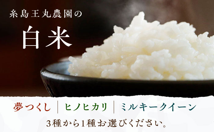 糸島おむすびセット 糸島市 / いとしまごころ 米 佃煮 海苔 おむすび おにぎり [ASD025]