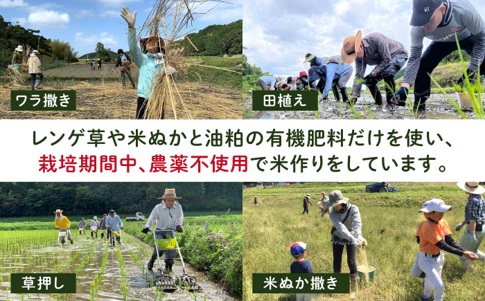 田縁米（でんえんまい）・天日（てんじつ）白米2kg 糸島市 / NPO法人田縁プロジェクト [ATM001] 米 お米