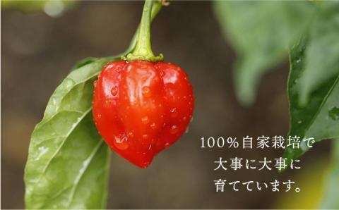 糸島 醗酵ハバネロ （小・50g）【内場農園】 【いとしまごころ】 [AUC001]