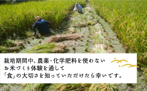 お米づくり 体験チケット 糸島市 / 天然パン工房楽楽【いとしまごころ】 [AVC065] 体験 農業 食育