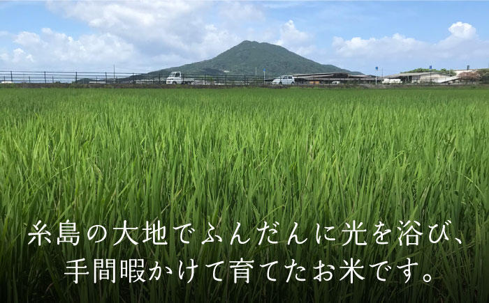 【白米・玄米から選択可能！】夢つくし 10kg（5kg×2袋） 糸島市 / 糸島パッションフルーツ工房 [AVK002]