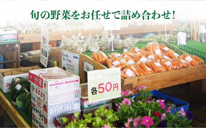 【全3回定期便】福岡県糸島産 旬の野菜盛り合わせセット [AWC007]