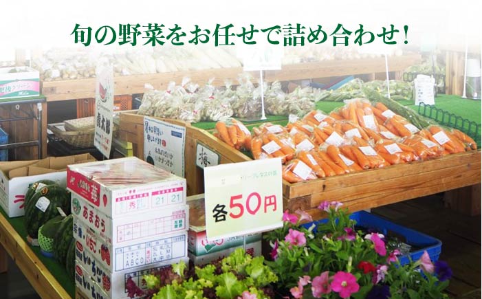 【全6回定期便】福岡県糸島産 旬の野菜盛り合わせセット [AWC008]