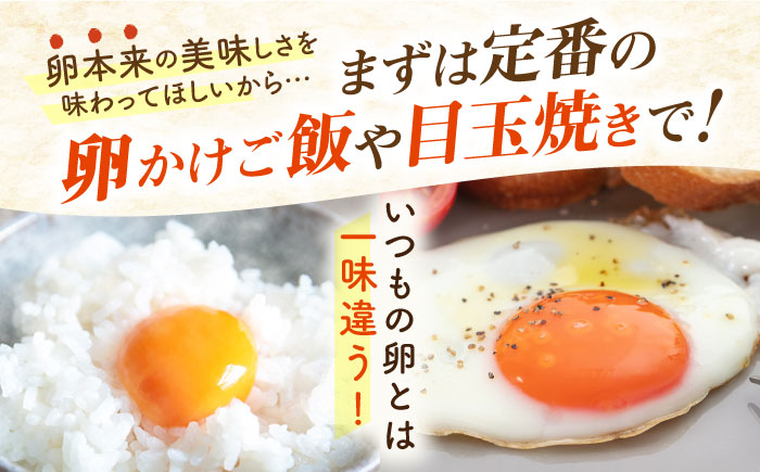 【年内発送】【160個】黄身にコク！白身に甘み！てつやとのりこの玉子 板垣ファーム [AWD005]