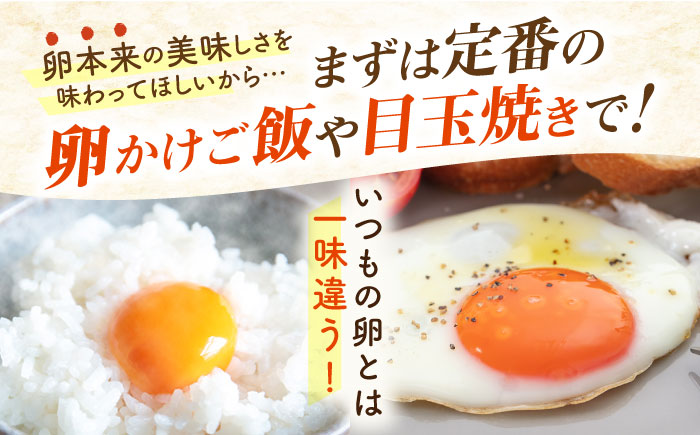 【全6回定期便】てつやとのりこの玉子 【 40個 】 糸島市 / 板垣ファーム 卵 たまご 鶏卵 [AWD021]
