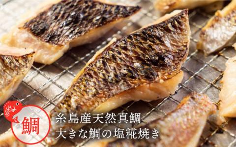 糸島真鯛らーめん 花束. hanataba 【花三人前】 [AWI002]