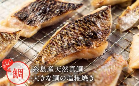 糸島真鯛らーめん 花束. hanataba【花二人前】 [AWI003]