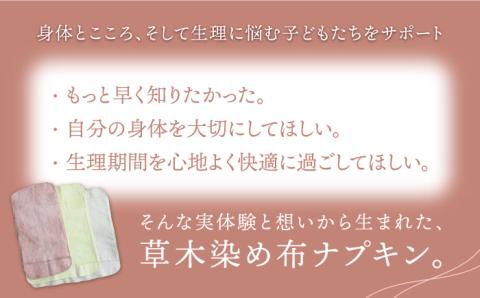 布ナプキン はじめて セット 糸島市 / CFTいとしま 生理用品 [AWK003]