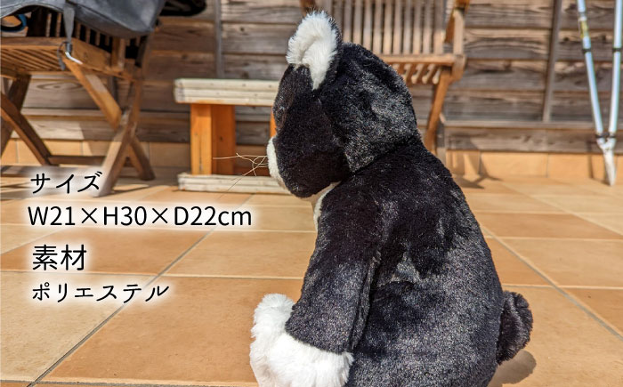 【 SNSで人気の猫 / 糸島観光大使】【 もんた 】 ぬいぐるみ 糸島市 / Basismall 猫 ネコ 観光大使 [AXL001]