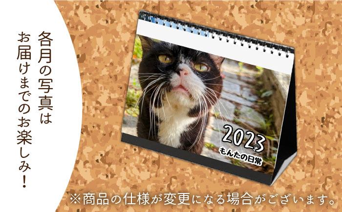 【 SNSで人気の猫 / 糸島観光大使】2023年 「 もんたの日常 」 卓上 カレンダー 糸島市 / Basismall 猫 ネコ 観光大使 [AXL004]