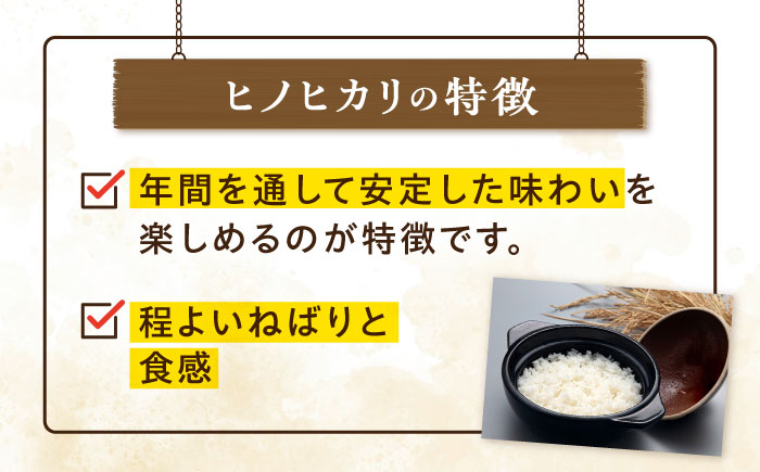 【年内発送】糸島産 ヒノヒカリ 10kg 糸島市 / 平山農園 米 白米 米 白米 ご飯 お米 10kg [AXN006]