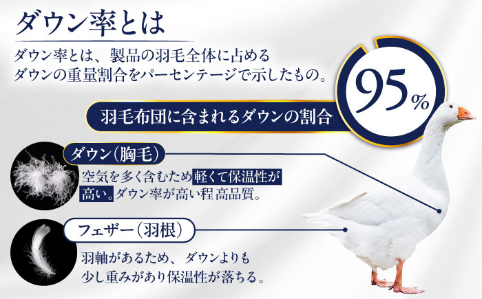 【糸島羽毛ふとん】【アイスランド特別保護鳥使用】【シングル】 羽毛 布団 本掛け ベージュ アイダーダウン95% 糸島市 / 株式会社三樹 / 布団 羽毛 [AYM023]