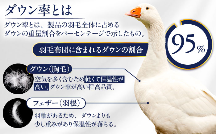 【糸島羽毛ふとん】【シングル】 羽毛 布団 本掛け 2層式 ポーランド産 グースダウン95％ 糸島市 / 株式会社三樹 / 布団 羽毛 [AYM028]