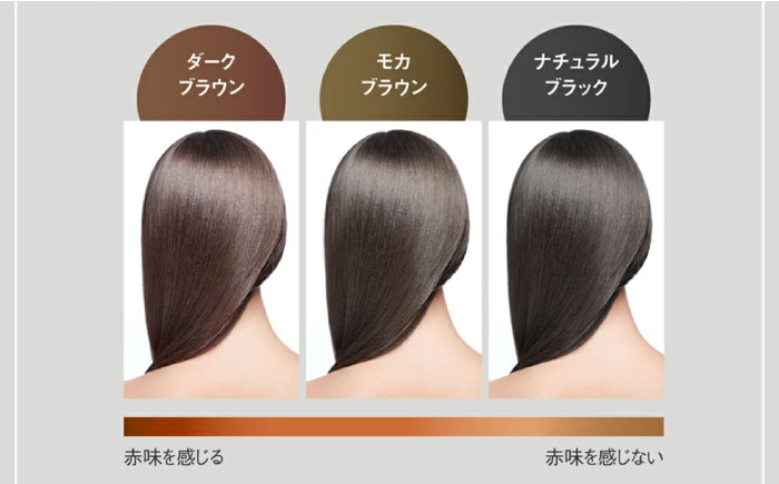 【5本入】リシリアフレル カラートリートメント 専用ボトル+詰め替え用パウチセット 糸島市 / 株式会社ピュール トリートメント 白髪染め [AZA174] ダークブラウン